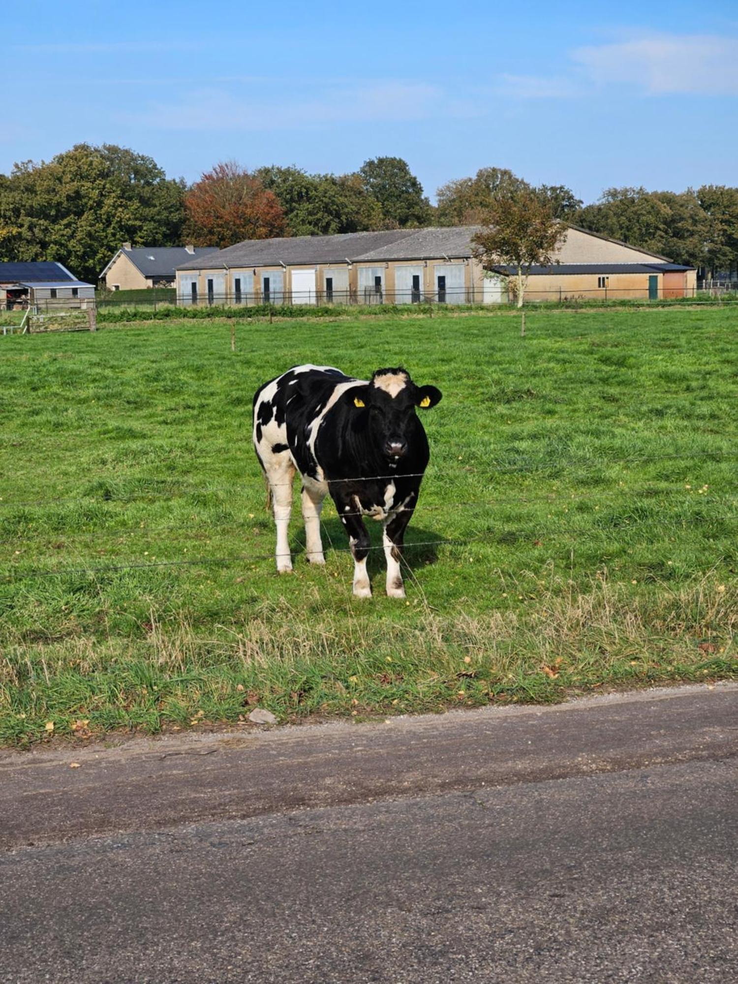 Bed & Breakfast Boekel Exterior foto